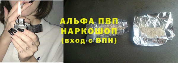 мяу мяу мука Бородино