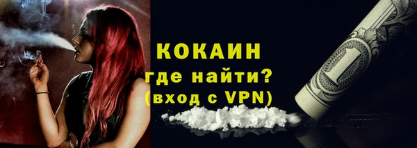 мяу мяу мука Бородино