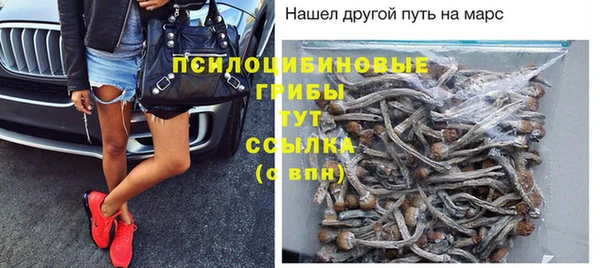 ECSTASY Бронницы