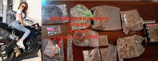 мяу мяу мука Бородино