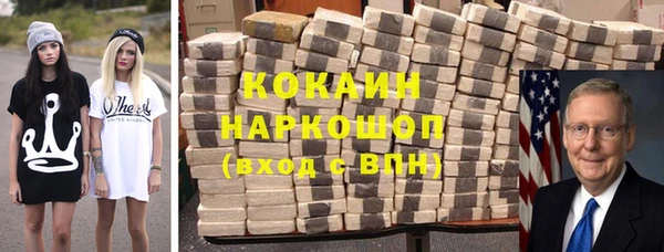 мяу мяу мука Бородино