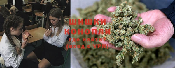 ECSTASY Бронницы