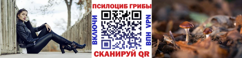 где купить наркотик  Энгельс  Псилоцибиновые грибы MAGIC MUSHROOMS 